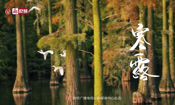 【時光映畫·二十四節(jié)氣】寒露