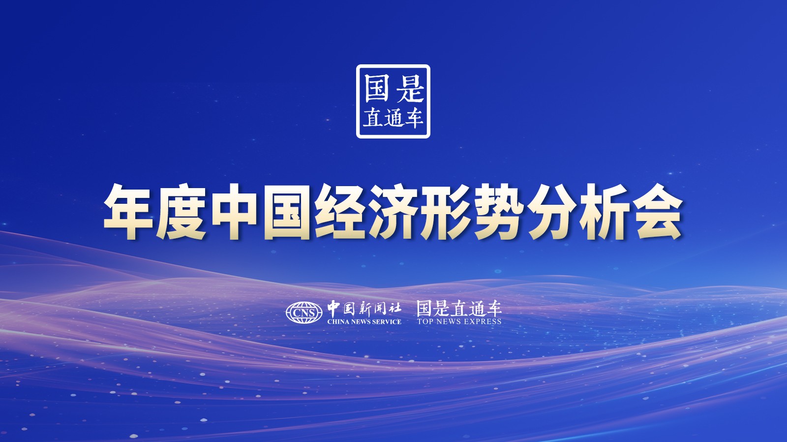 年度中國經(jīng)濟(jì)形勢分析會(huì)