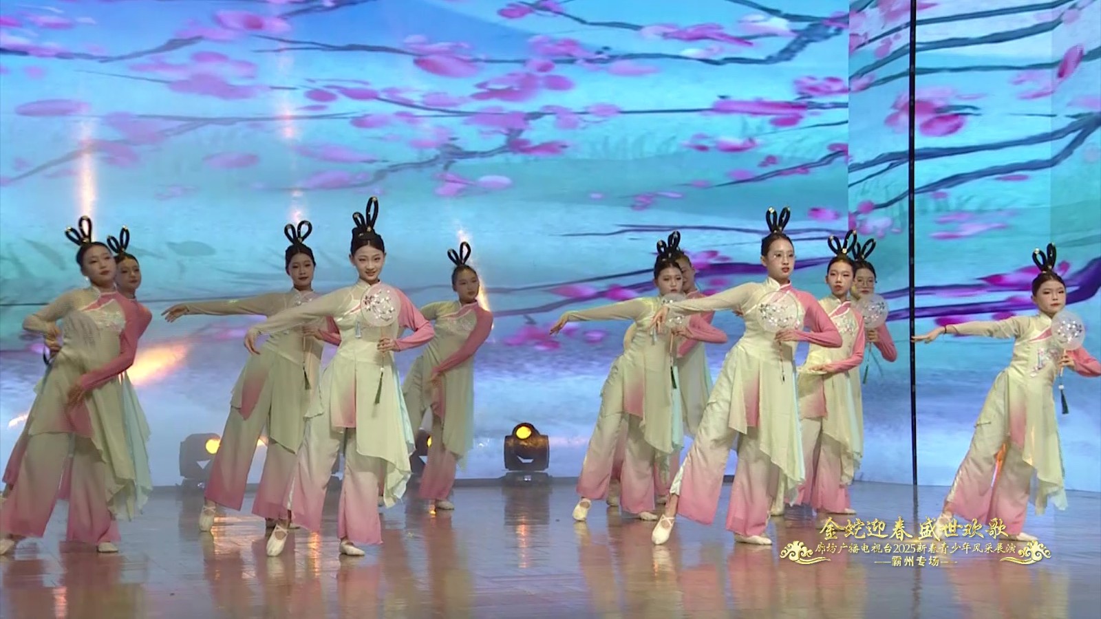 2025新春青少年展演（霸州市藍(lán)天藝術(shù)學(xué)校）