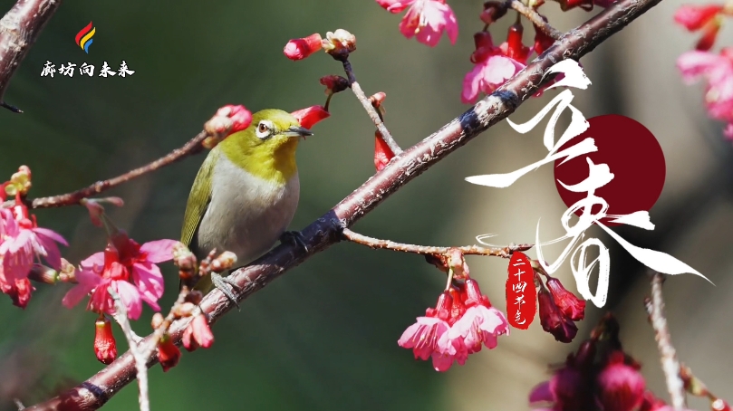 【時(shí)光映畫·二十四節(jié)氣】立春