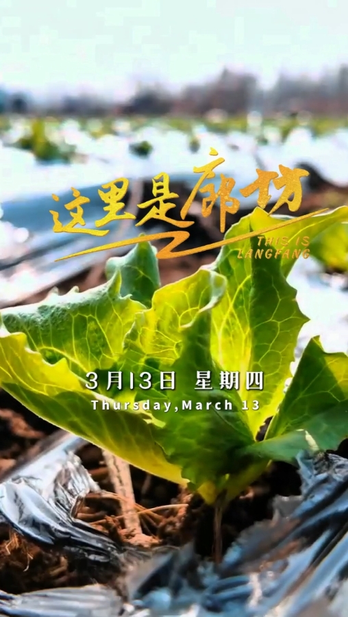 【這里是廊坊】三河市高樓鎮(zhèn)