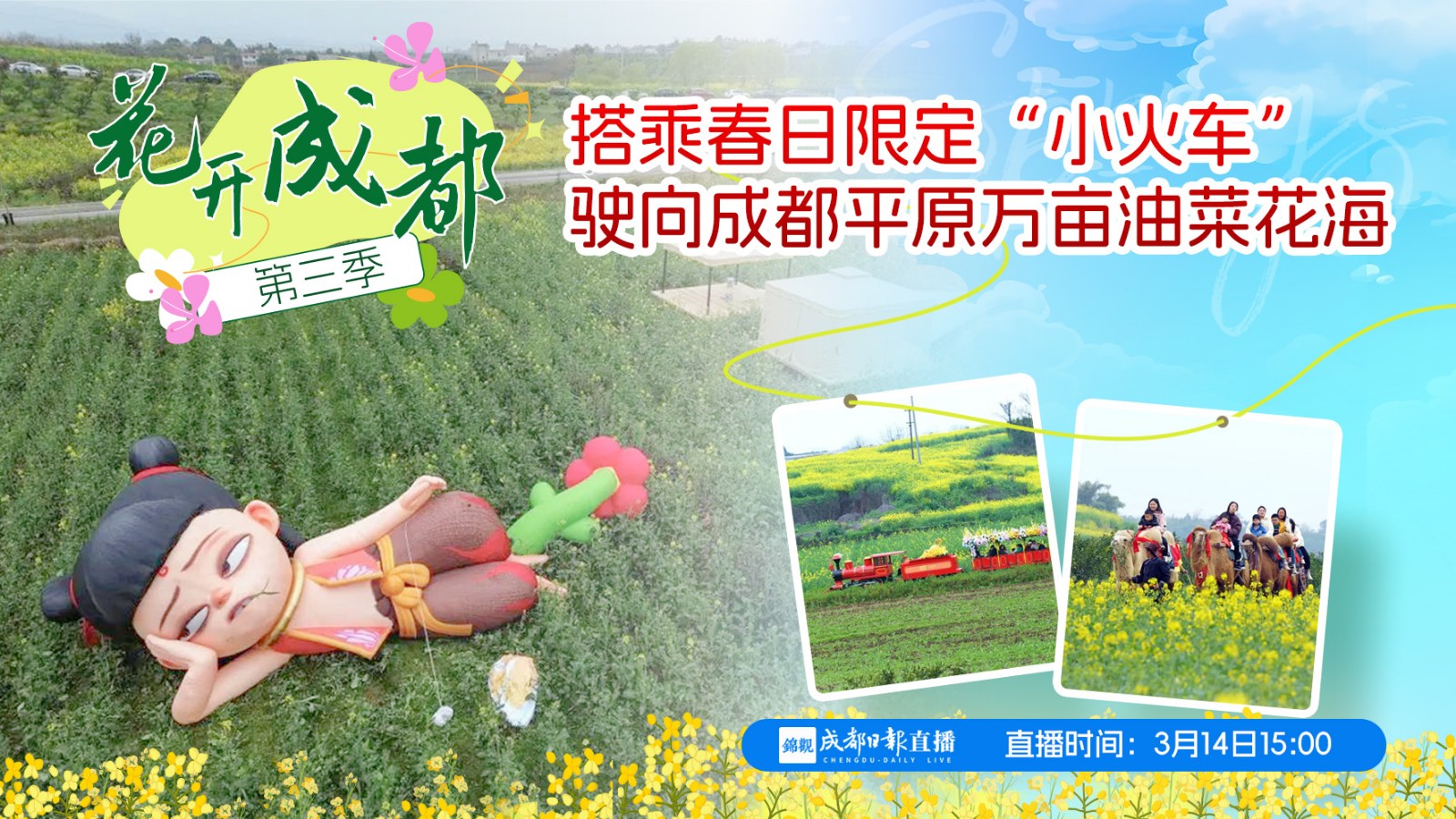 花開成都大聯(lián)播： 搭乘春日限定“小火車” 駛向成都平原萬畝油菜花田