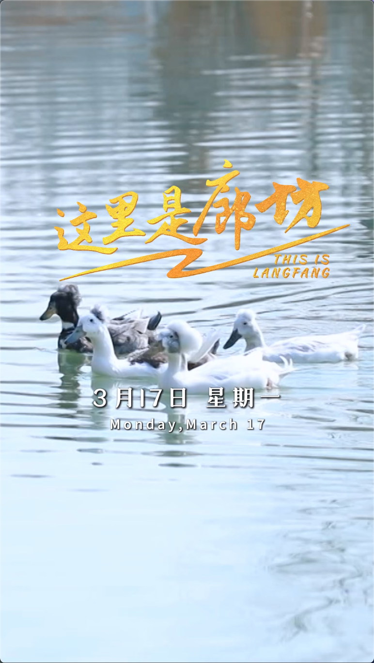 【這里是廊坊】大廠域見(jiàn)頤和健康文化旅游產(chǎn)業(yè)園