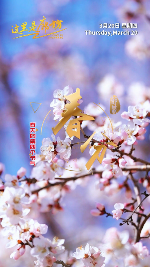 【這里是廊坊】春天的第四個(gè)節(jié)氣——春分