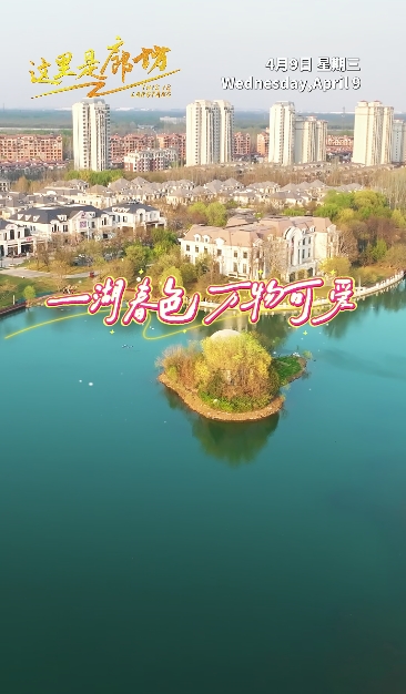 【這里是廊坊】一湖春色 萬(wàn)物可愛(ài)