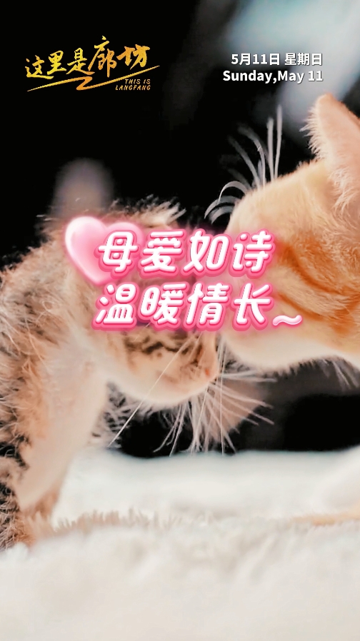 【這里是廊坊】母愛如詩 溫暖情長~