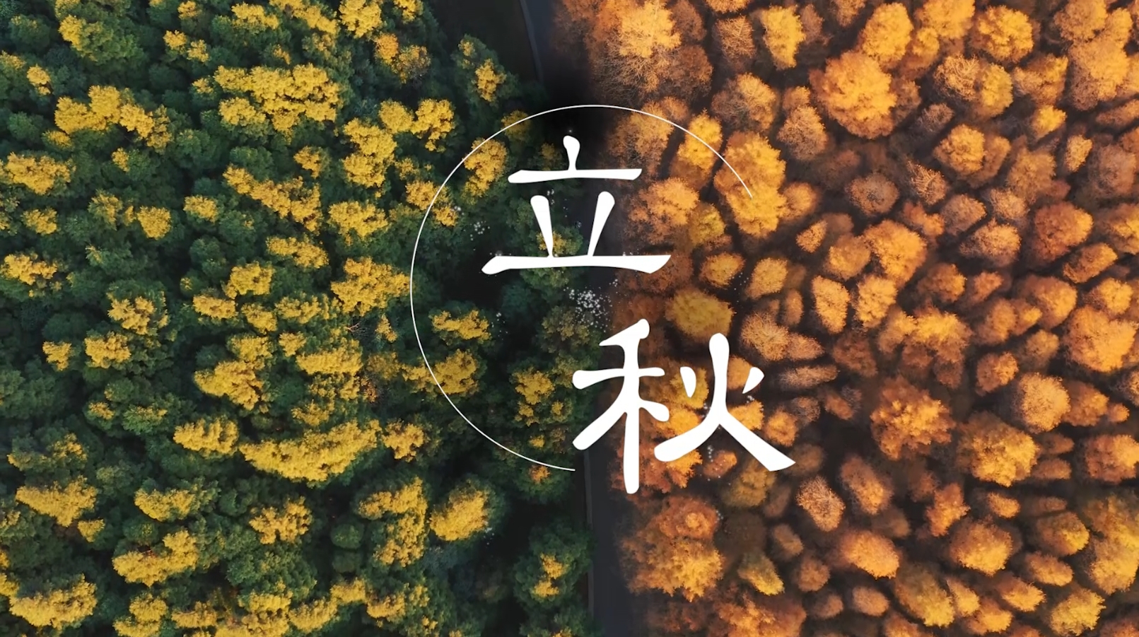 【時(shí)光映畫·二十四節(jié)氣】立秋